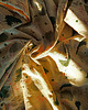 ubrania różne Chryzantema  Kimono Vintage 2