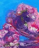 obrazy Ośmiorniczka obraz pastela olejna 15x15 cm 5