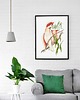 plakaty Plakat Papugi 5