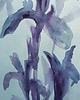 obrazy Akwarela Kwiaty oryginalny obraz niebieski papier 10,5x22 cm 2