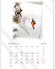 kalendarze i plannery Kalendarz zwierzęta 2024 3