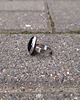 pierścionki - różne Onyks - pierścionek regulowany 1