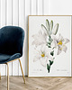 plakaty Plakat White flowers 2