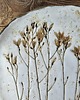 patery i talerze Patera ceramiczna z roślinami 1