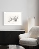 plakaty Modrzew, print 50x70 cm 1