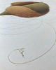 grafiki i ilustracje Rysunek z serii "Farfocle" oryginał 6