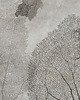 fototapeta Tree - Fototapeta 1