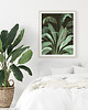 plakaty Plakat botaniczny  50x70 cm 1