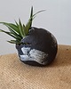 doniczki WYKLUCIE_doniczka ceramiczna_czarna 2