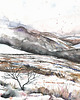 grafiki i ilustracje Bieszczady, 30x40 cm 1