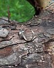 pierścionki - różne Onyks - pierścionek regulowany, rezerwacja 1