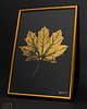 grafiki i ilustracje Plakat Złoty Liść Klonu. Monotypia Botaniczna. Złota Rama Alu 20x30 cm 2