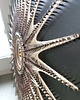 obrazy STAR #1 Obraz String art 3