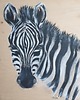 obrazy Obraz ręcznie malowany na desce 60x60 "Zebra" 1