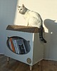 regały i półki TVcat domek+ drapak dla kota 3
