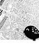 broszki FeltBird 2