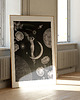 grafiki i ilustracje Luna Rose A3 1