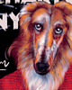 plakaty Plakat - Chart 2