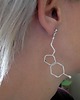 wisiory Serotonina - hormon szczęścia,  2