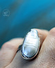 pierścionki srebrne Biwa Pearl Ring 5