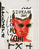 plakaty Plakat Szukam Techno Żony ilustracja poster na prezent 1