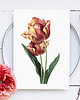 plakaty Tulipan - plakat vintage 1