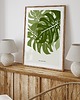 plakaty Plakat Monstera 1
