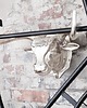 wieszaki Wieszak na rower Byk 47cm 5