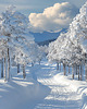 plakaty Plakat - Winterland 2