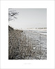 fotografia Zestaw 4 fotografii 5