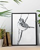 grafiki i ilustracje Wróbelki 21x30 - zestaw dwóch grafik 2