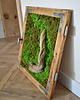 inne "Okno" - obraz, dekoracja, duży obraz z mchu 3