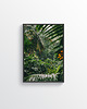 plakaty Plakat - amazonia 2