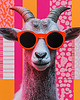 plakaty Plakat - Funky goat 2