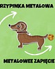 przypinki Przypinka  JAMNIK 2