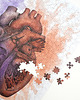 puzzle dla dzieci Puzzle Anatomiczne 3