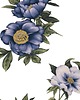 kocyki, kołderki, pościel dla dzieci Pościel z wypełnieniem Flowers Blue - 100%  Bawełna, Perkal 1