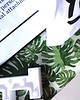ławki ŁAWKA ławeczka tapicerowana liście monstera puf 1