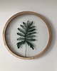 Ozdoby na ścianę Szklany obraz - Filodendron - Wall Me 7
