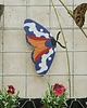 plakaty Plakat Six-spot Burnet - dekoracja ścienna motyl 1