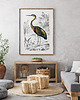 plakaty Plakat Ptak vintage 4