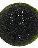 dodatki - różne Patera zgrzewana zielona jasna oliwka fi 43cm 1