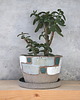 doniczki Doniczka ceramiczna 1