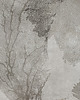 fototapeta Tree - Fototapeta 1
