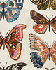 plakaty Motyle i ćmy plakat, plakat botaniczny, motyle 2