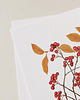 plakaty Plakat- Aronia czerwona 1