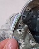 kosmetyczki Kosmetyczka kostka " szałwiowe stokrotki " 2