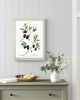grafiki i ilustracje PLAKATY botaniczne ilustracje oliwki 1