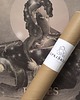 plakaty Plakat Pisces 2