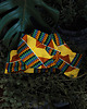 opaski do włosów AfroOpaska Kente Yellow 2